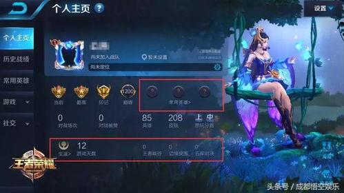 王者加强最新爆料英雄,新英雄崛起，神秘加强爆料引玩家热议  第1张