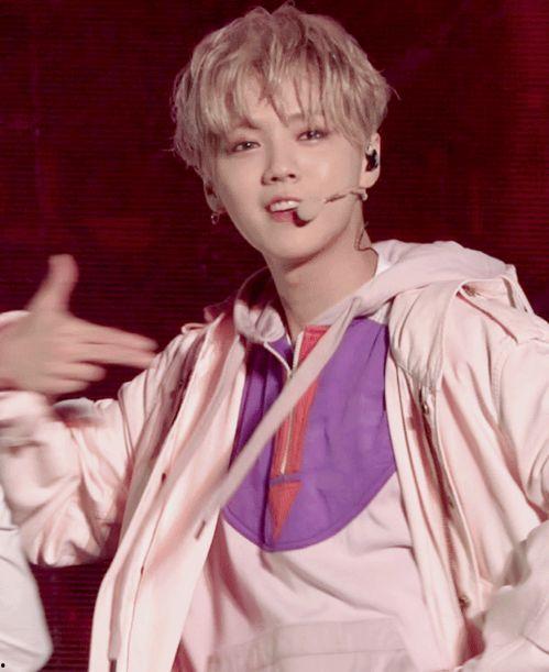 鹿晗最新动态爆料视频,独家爆料视频带你领略偶像魅力